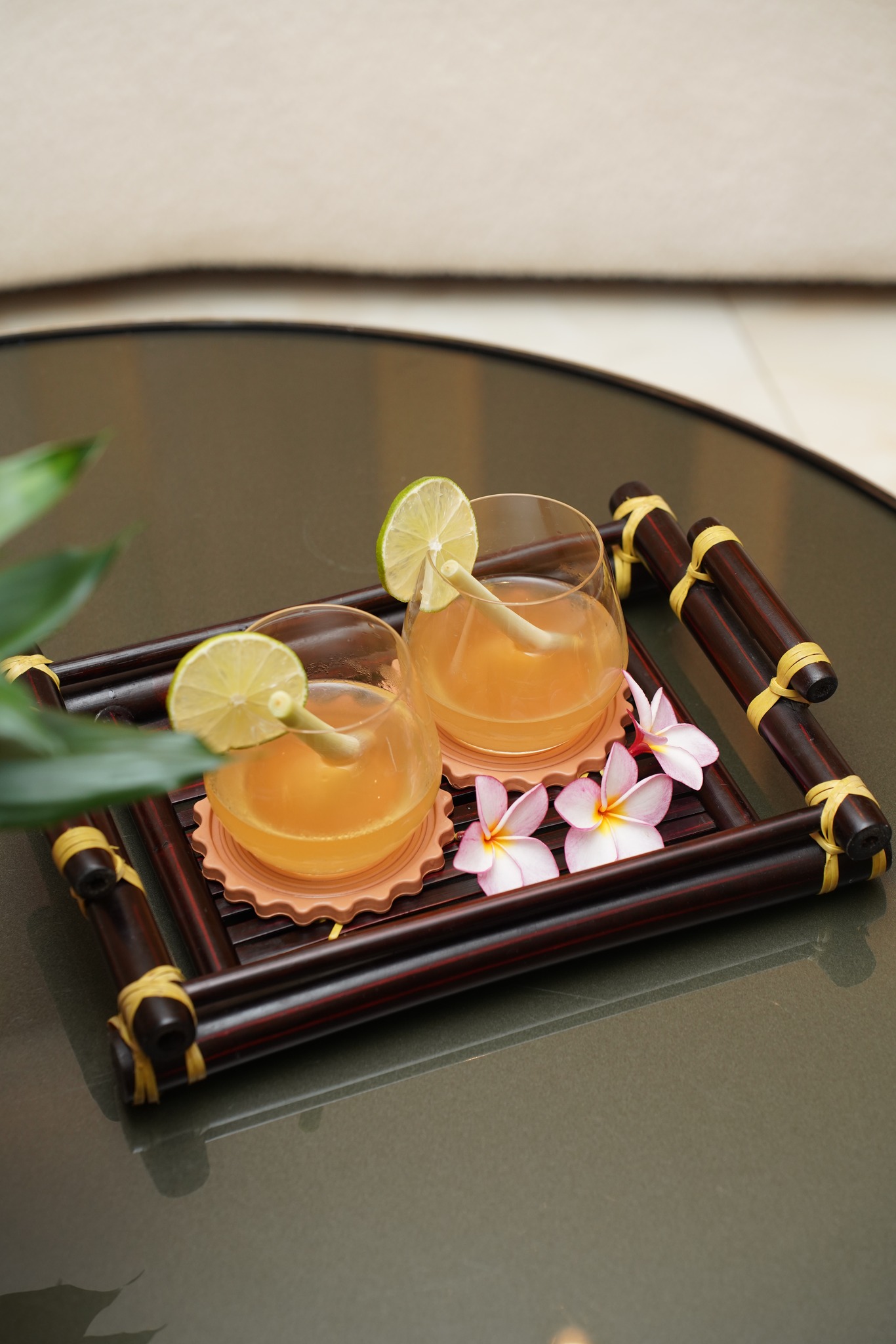 seashell_spa (10)