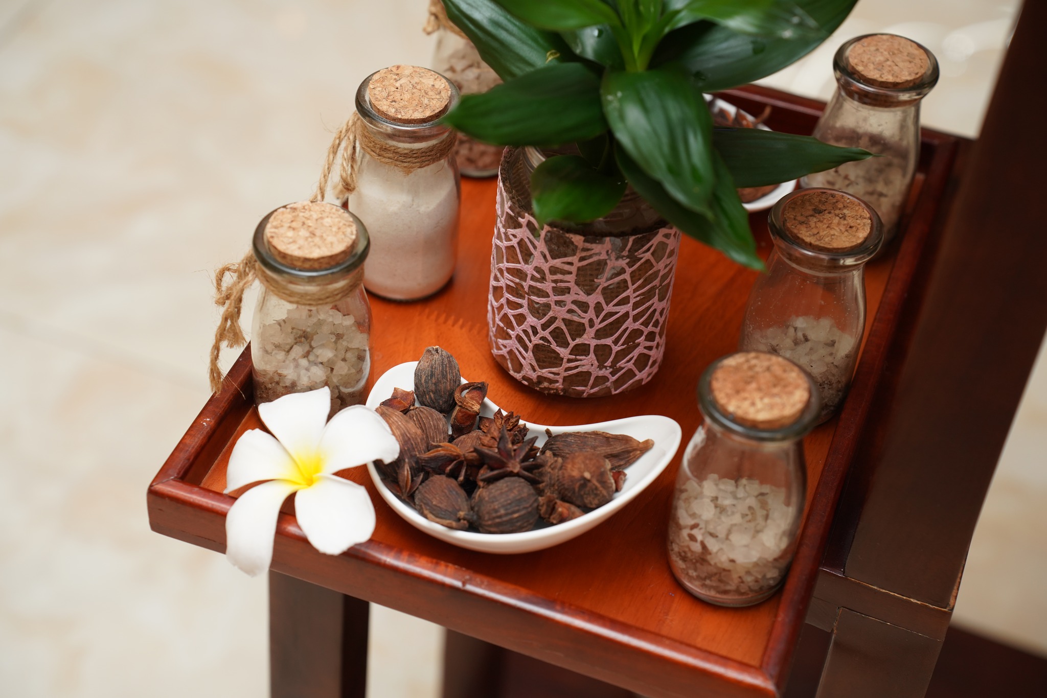seashell_spa (8)